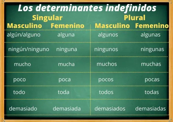 Tabla de tipos de determinantes indefinidos en español, mostrando singular y plural, masculino y femenino: algún, ninguno, mucho, poco, todo, demasiado.