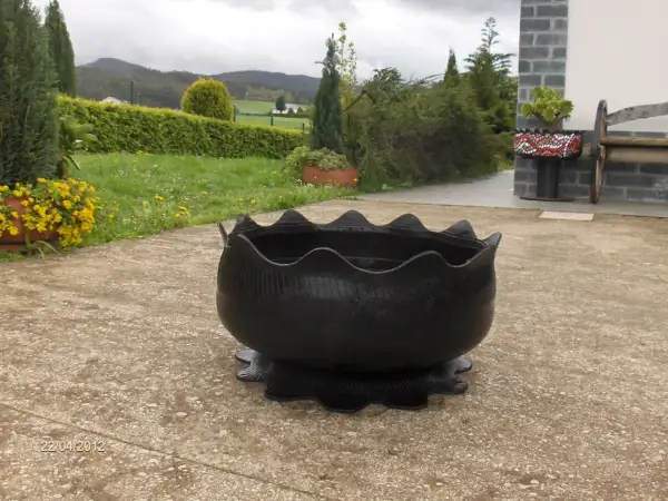 Crea una hermosa maceta con neumático y transforma tu jardín fácilmente