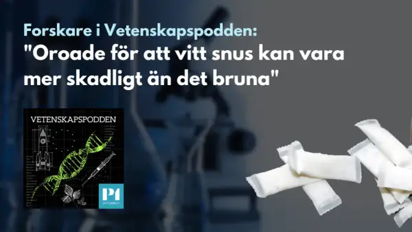 Forskare oroade för att vitt snus kan vara mer skadligt än brunt. Bilden visar snusdosor och en illustration av DNA.