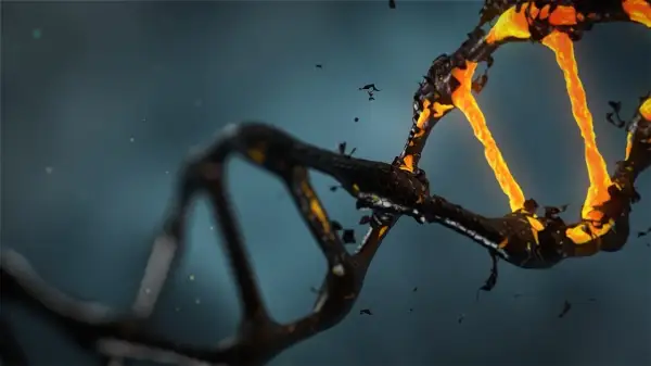 Czy po kremacji można ustalić DNA? Oto trudne wyzwania i możliwości