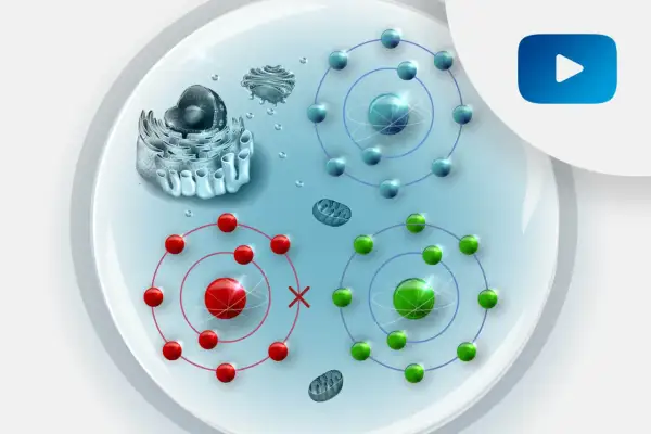 Ilustracja komórki z organellami i atomami. Czerwone atomy z krzyżykiem symbolizują stres oksydacyjny, a zielone i niebieskie zdrowe procesy.