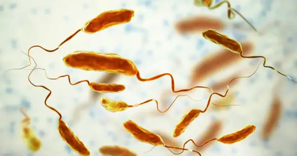 Bakterie Vibrio cholerae, które wywołują chorobę cholera, unoszą się w wodzie.