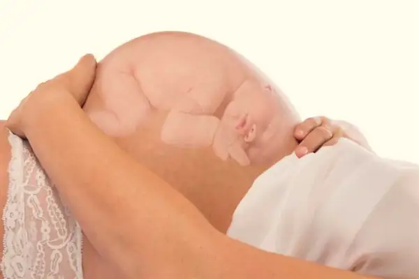 La imagen muestra la postura del bebé dentro del vientre materno, acurrucado y tranquilo.