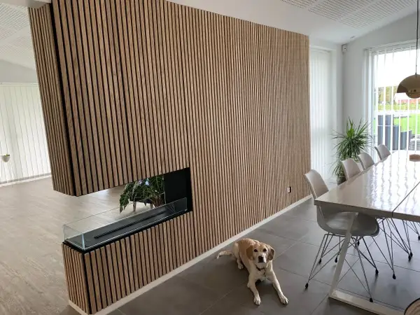 Vacker vägg med akustikpanel inspiration, en modern eldstad och en hund som vilar vid matbordet.