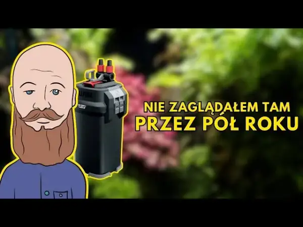 Jak czyścić filtr gąbkowy w akwarium, aby nie zabić pożytecznych bakterii