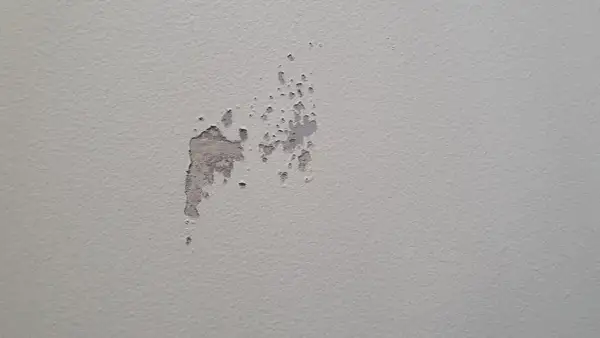 Sprucken färg visar spackel syns efter målning. En fläck på en ljusgrå vägg där färgen flagnar och spacklet syns igenom.