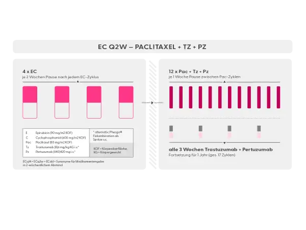 Schema für adjuvante Therapie bei Brustkrebs: 4x EC, dann 12x Paclitaxel mit Trastuzumab/Pertuzumab.