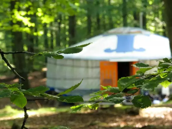 En rund yurt med orange dörr står i en skog. Nyrups Naturhotell erbjuder en unik vistelse bland träden.