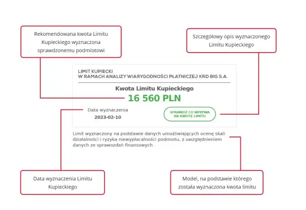 Wartości niematerialne i prawne od jakiej kwoty? Sprawdź limity!
