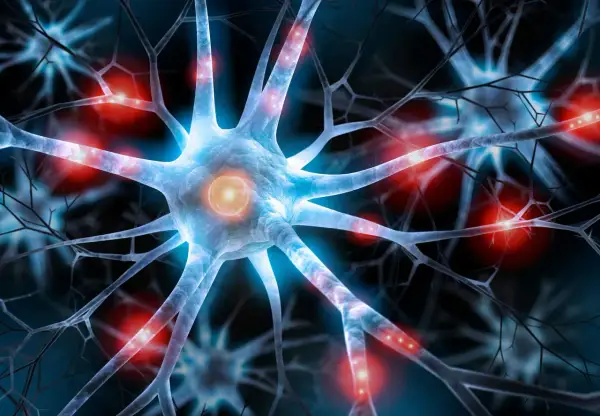 Nervceller med glödande kopplingar, som symboliserar hur serotonin kan påverka hjärnan och ge biverkningar.