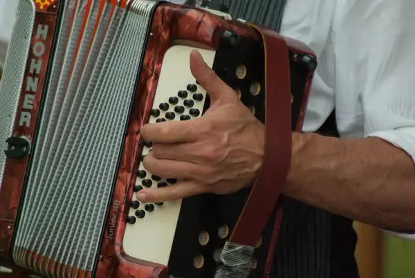 Dłoń gra na akordeonie HOHNER Junior 48. Czas nauki gry na akordeonie zależy od zaangażowania.