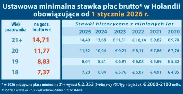 Dekarz w Holandii: Zarobki (netto!), koszty i jak zarabiać więcej