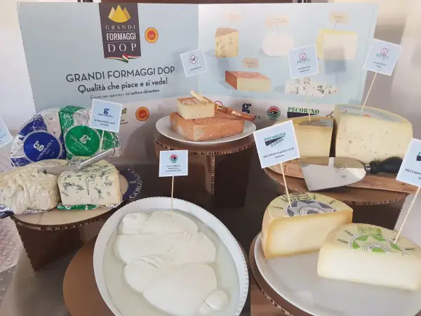 Varietà di formaggi DOP, tra cui Gorgonzola, Asiago, Pecorino Sardo e Mozzarella di Bufala Campana, presentati in un'esposizione dedicata ai grandi formaggi DOP.