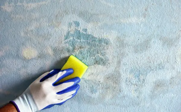 Mano con guanto blu e bianco pulisce una parete con pittura tamponato grigio e macchie di umidità.