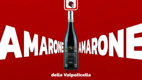Butelka Amarone della Valpolicella na tle napisu "AMARONE".