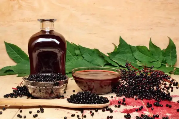 Wino z czarnego bzu przepis: butelka ciemnego płynu, miseczki z owocami i liśćmi czarnego bzu, gotowe do przygotowania domowego trunku.