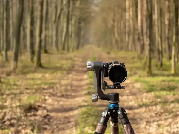 Profesjonalny aparat na statywie czeka na uchwycenie piękna lasu. To idealne miejsce na fotografia przyrody.