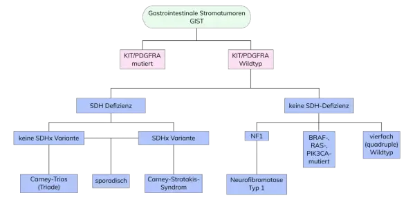 Flussdiagramm zur Klassifizierung von GIST-Tumoren basierend auf Genmutationen und SDH-Defizienz.