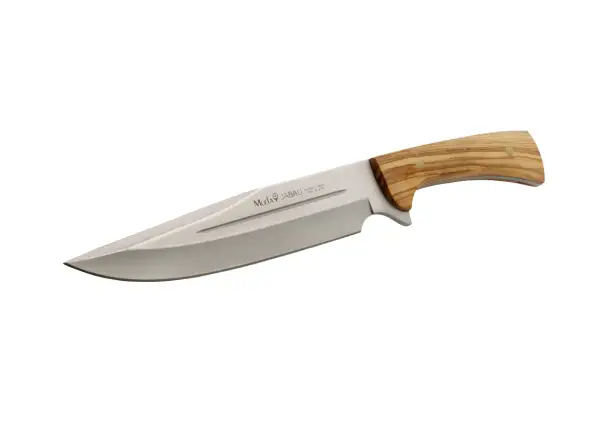 Cuchillo Muela con hoja de acero inoxidable y mango de madera de olivo. Ideal para la caza del jabalí.
