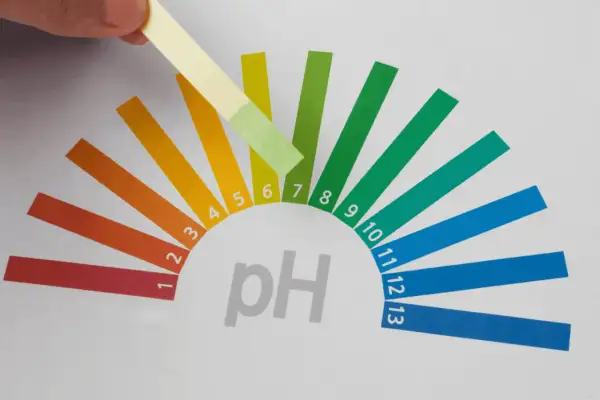 Test de pH : une bandelette réagit avec l'eau adoucie, montrant un résultat entre 6 et 7.