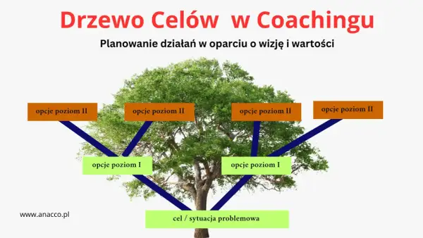 Drzewo celów w coachingu: planowanie działań od sytuacji problemowej przez opcje I i II. Różne rodzaje coachingu mogą wykorzystywać tę metodę.