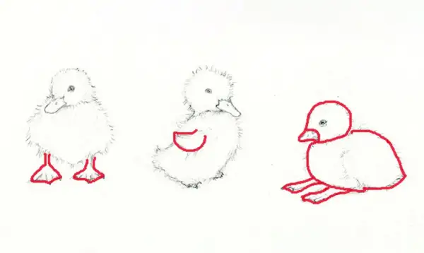 Tres tiernos dibujos de patos, uno de pie, otro sentado y uno más recostado, con contornos rojos resaltando sus formas.
