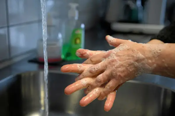 Hands being washed with soap and water in a sink.