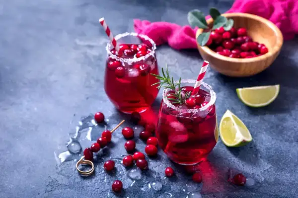 Dwa orzeźwiające drinki z żurawiną i limonką, idealne co na aperitif.