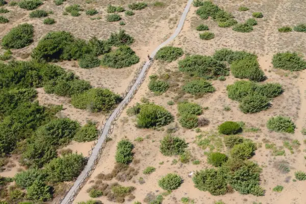 Sentiero in legno serpeggia tra la vegetazione della pineta di levante. Due persone passeggiano.