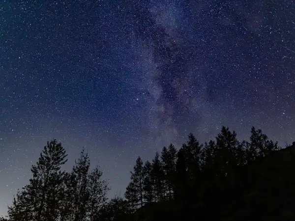Nocne niebo pełne gwiazd i Drogi Mlecznej nad ciemnym lasem. Idealne do oglądania gwiazd.