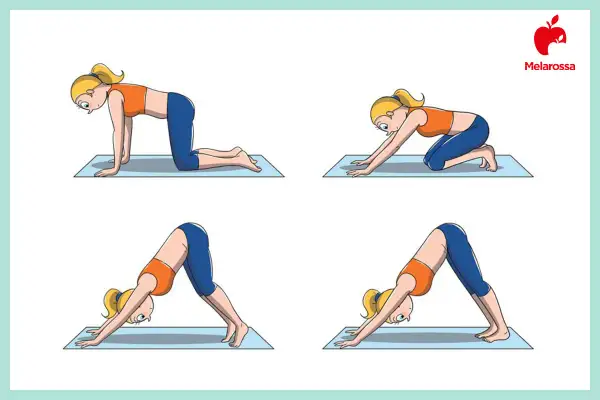 Sequenza di posa yoga: da quadrupedia a cane a testa in giù, per allungare il corpo.