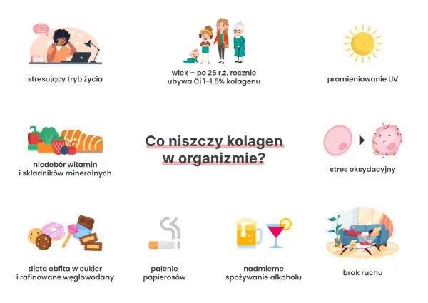 Stres, wiek, UV, niedobory, cukier, papierosy, alkohol i brak ruchu to czynniki, co niszczy kolagen w organizmie.