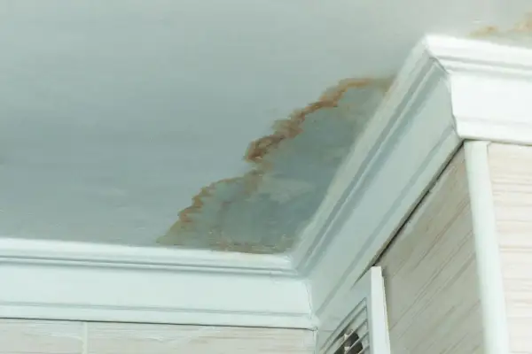 Taches brunes sur le plafond de la salle de bain, signe de moisissure malgré la VMC. Problème d'humidité persistant.