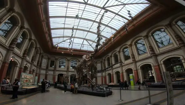 Muzeum sztuki naturalnej Berlin - Fascynujące zbiory i wystawy