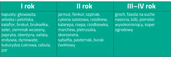 Kiedy kompost pod warzywa? Kluczowe terminy i skuteczne metody zastosowania
