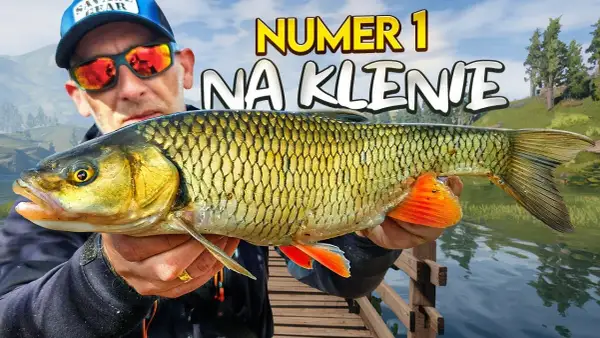 Najlepsze przynęty na klenia spinning - skuteczne metody łowienia