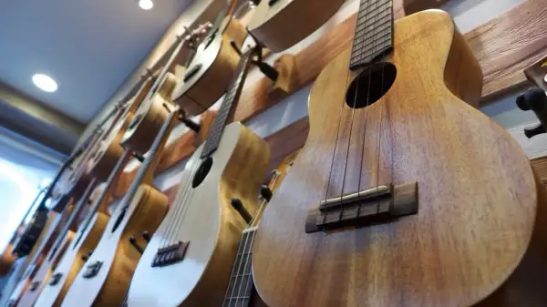 Ukulele jakie drewno wybrać, aby uzyskać najlepsze brzmienie?