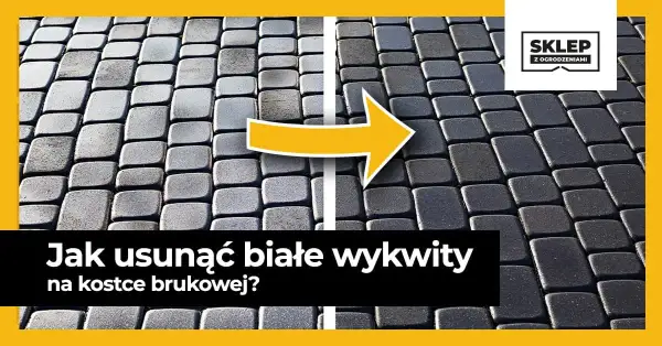 Jak usunąć biały nalot na kostce brukowej - skuteczne metody i porady