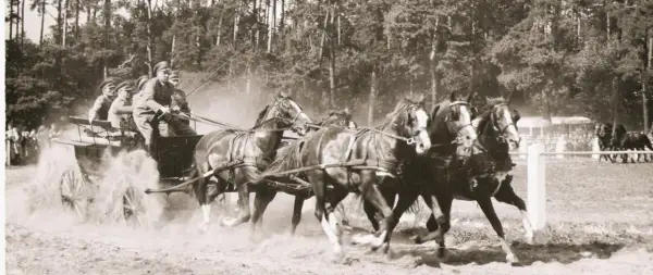 Stadnina ogierów Łąck - historia, tradycja i aktualne wydarzenia