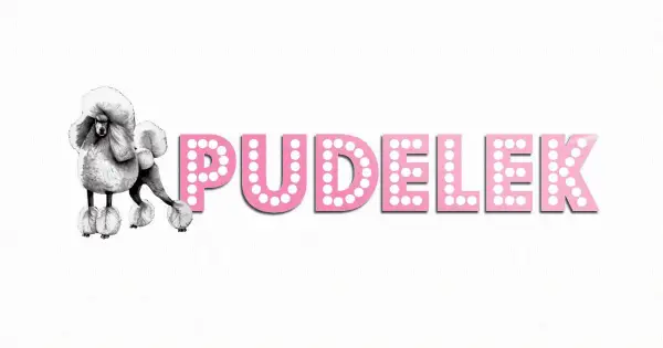 Z kim jest Heidi Klum? Odkryj jej związek z Tomem Kaulitzem