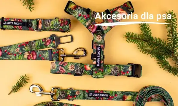 Najlepsza obroża dla buldoga francuskiego - komfort i bezpieczeństwo