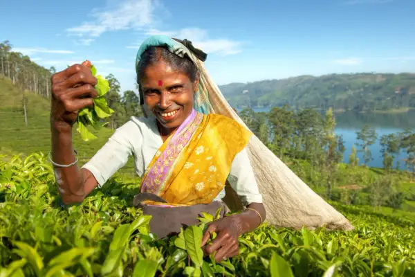 Wyspa na której leży Sri Lanka - Cejlon i jego tajemnice