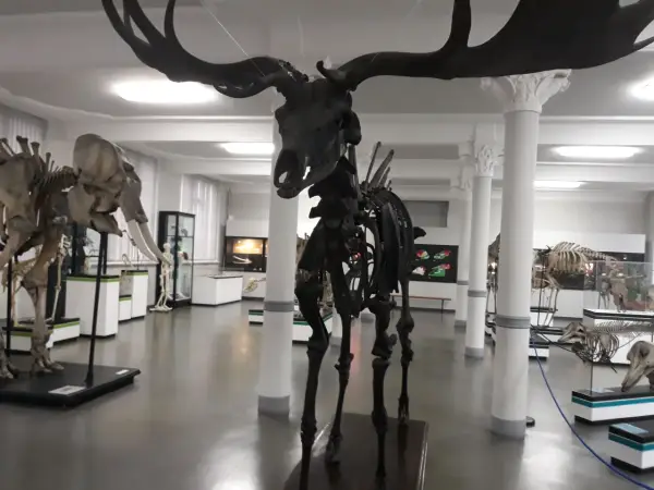 Muzeum Przyrodnicze Wrocław: Przewodnik, ceny, atrakcje