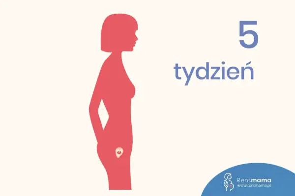 Sylwetka kobiety z zaznaczonym zarodkiem w łonie. Obok widnieje napis "5 tydzień".