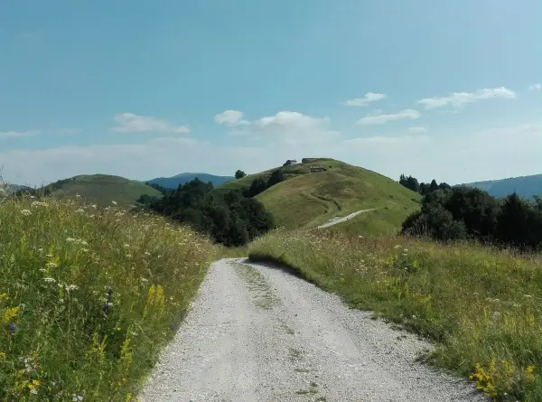 Sentiero sterrato sale verso la malga Garda, tra prati fioriti e dolci colline verdi sotto un cielo azzurro.