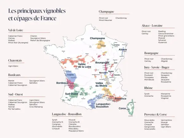 Carte des vignobles français, une histoire du vin à travers les cépages.