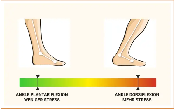 Bei Achillessehne Schmerzen wann zum Arzt? Die Grafik zeigt Fußstellungen: Plantarflexion (weniger Stress) und Dorsiflexion (mehr Stress).