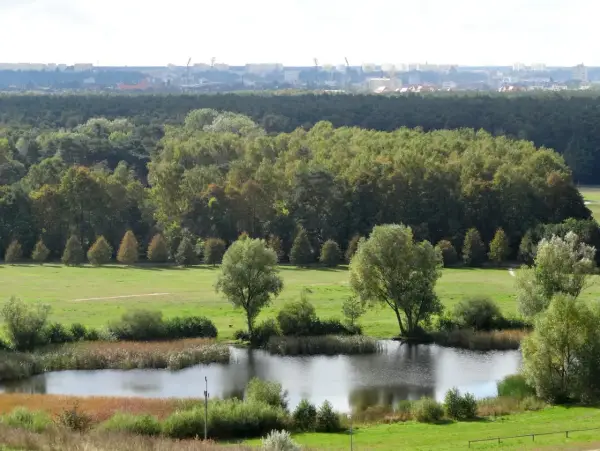 Krajobraz z jeziorem i drzewami, w tle las i miasto. To największy park miejski w Polsce, oferujący spokój i zieleń.