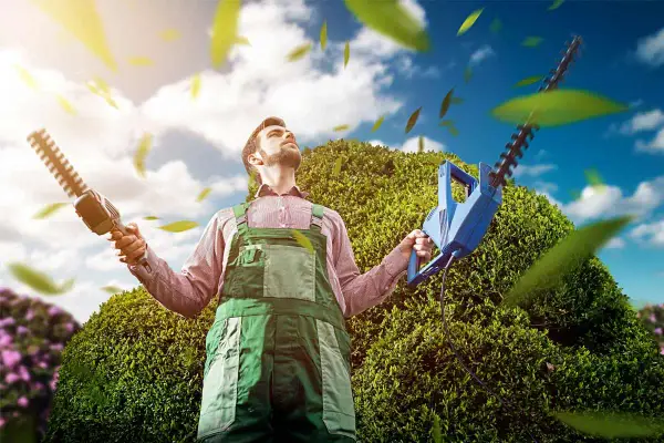 Un jardinier, pensif, tient deux taille-haies, prêt à savoir quand tailler les haies. Le ciel bleu et les feuilles volantes créent une scène idyllique.