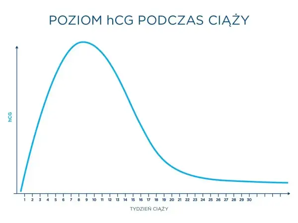 Wykres pokazuje przyrost beta hcg w pierwszych tygodniach ciąży, osiągając szczyt około 9-10 tygodnia, a następnie stopniowo spada.